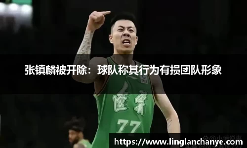 星空·综合体育官网